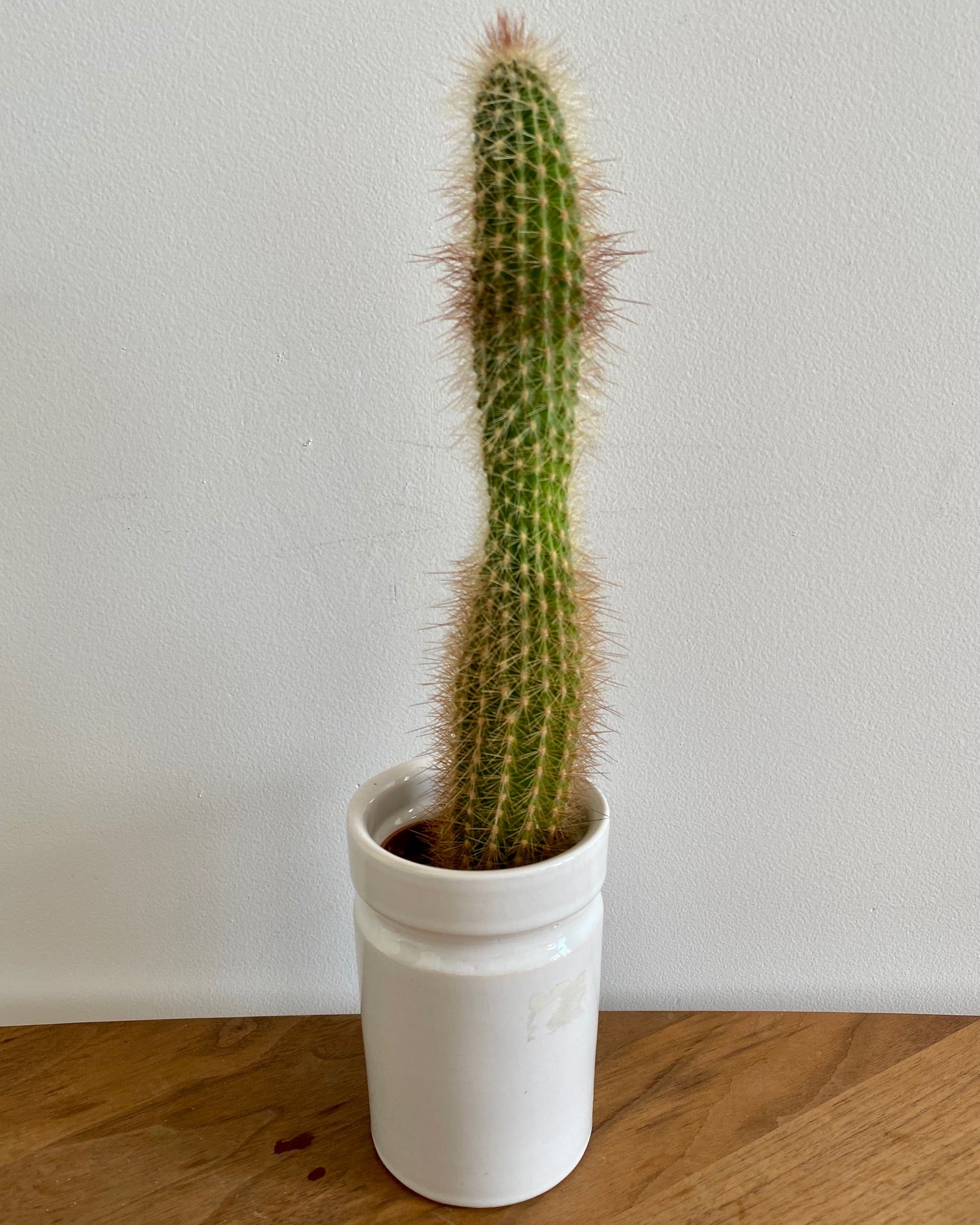 Small white pot vase